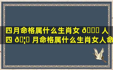 四月命格属什么生肖女 🐝 人「四 🦄 月命格属什么生肖女人命运」